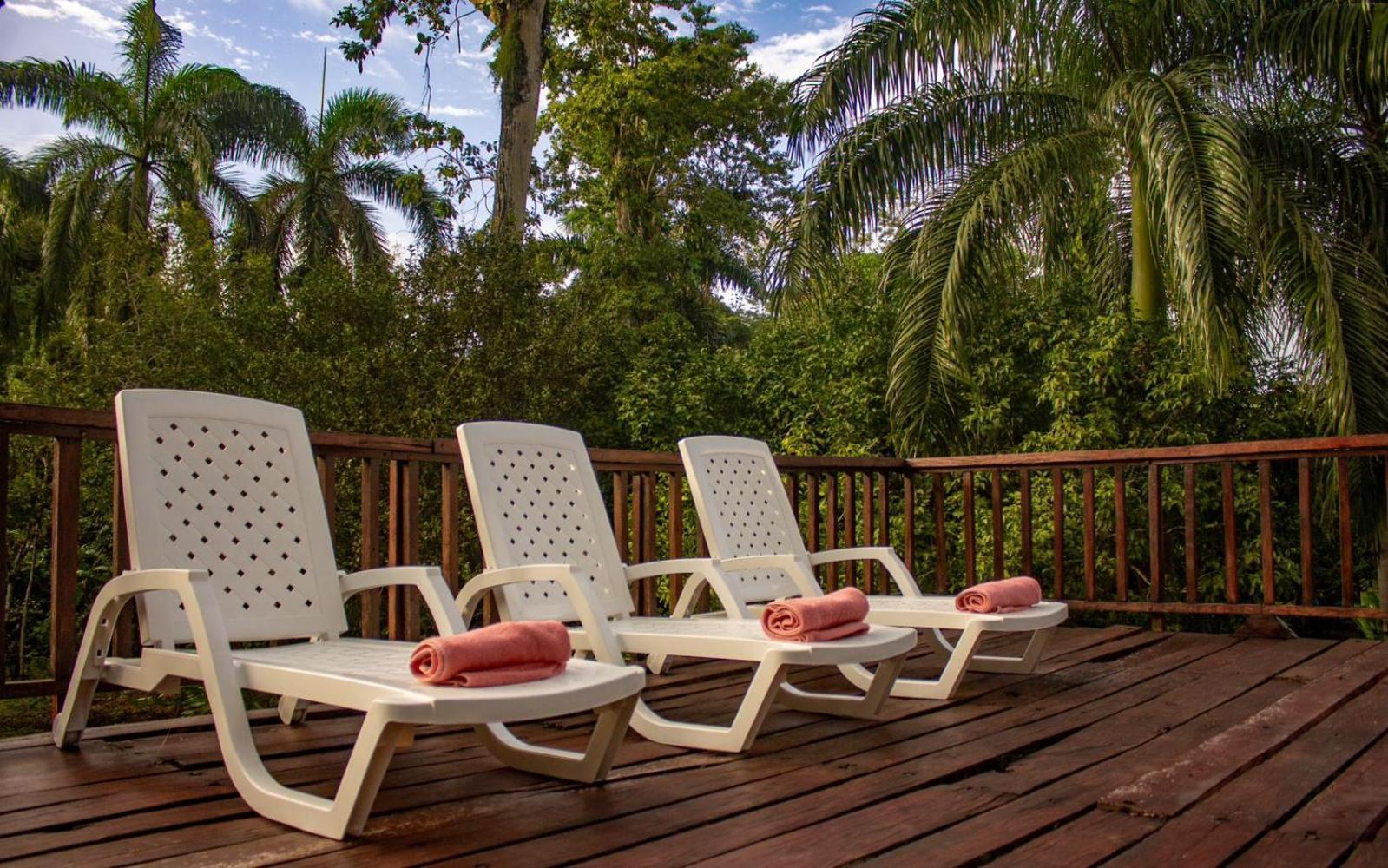Casa Heliconia - Spacious, Big Garden, Close To The Beach Puerto Viejo de Talamanca Eksteriør bilde